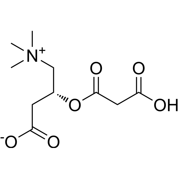cis-Malonylcarnitine 910825-21-7